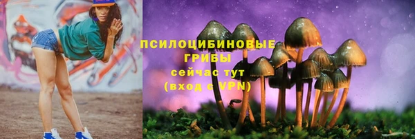 мдпв Армянск
