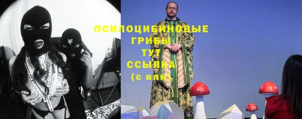мдпв Армянск